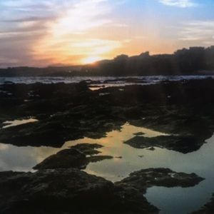 Meet your Posher, Sienna